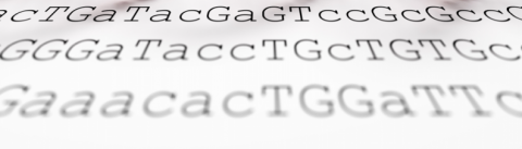 next generation sequencing (NGS)