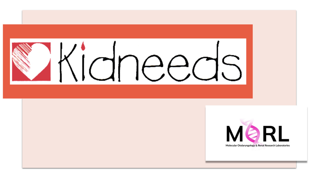 Kidneeds
