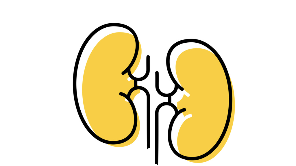 Kidneys