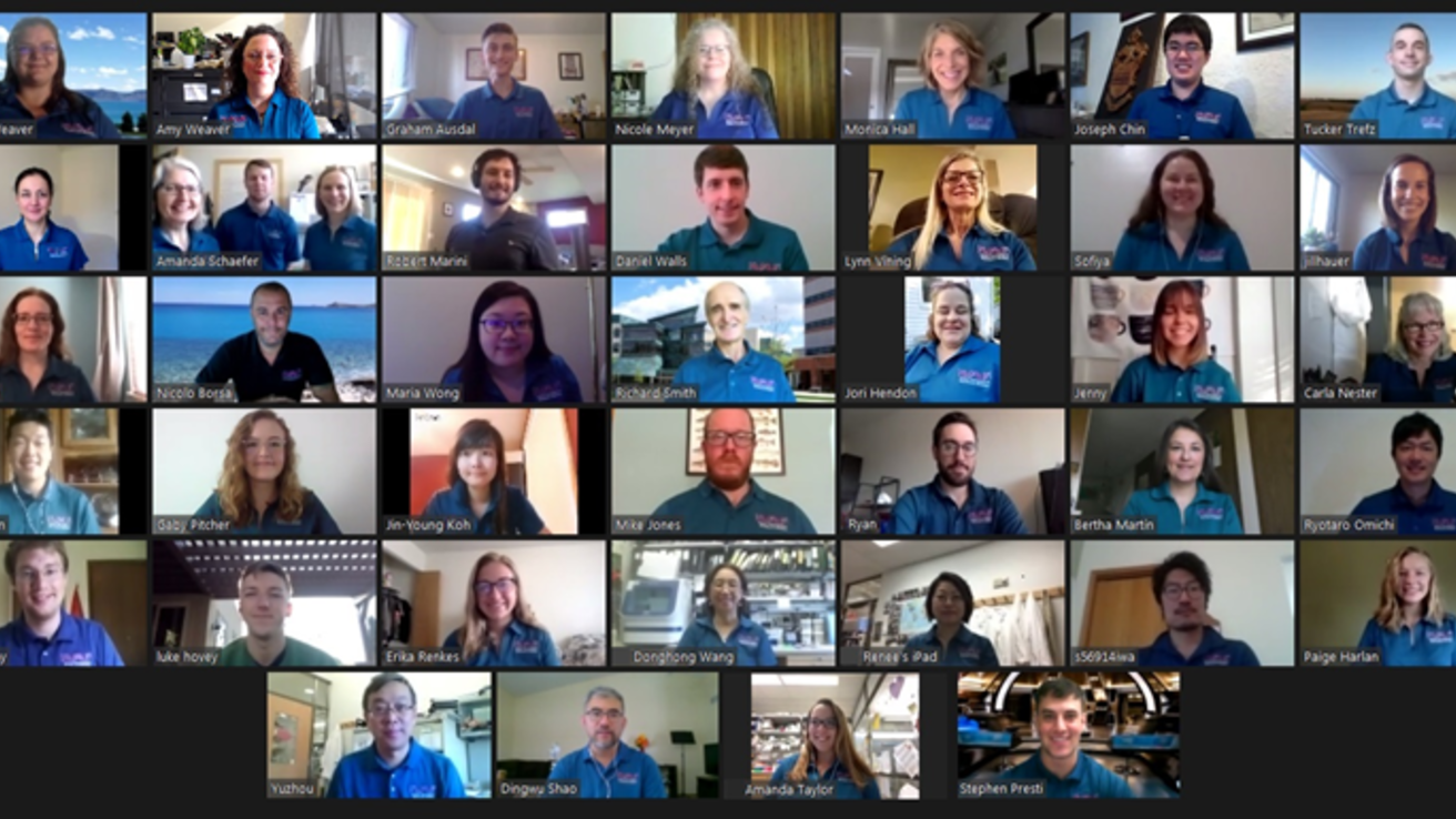 Virtual Lab Meeting 2020